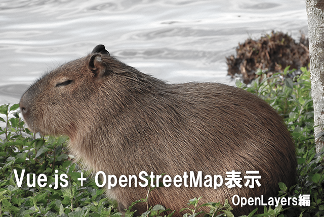 Vuejs+OpenStreetMap表示 メイン画像